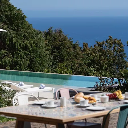 Villa Exceptional Luxury In Madeira Bellissima *