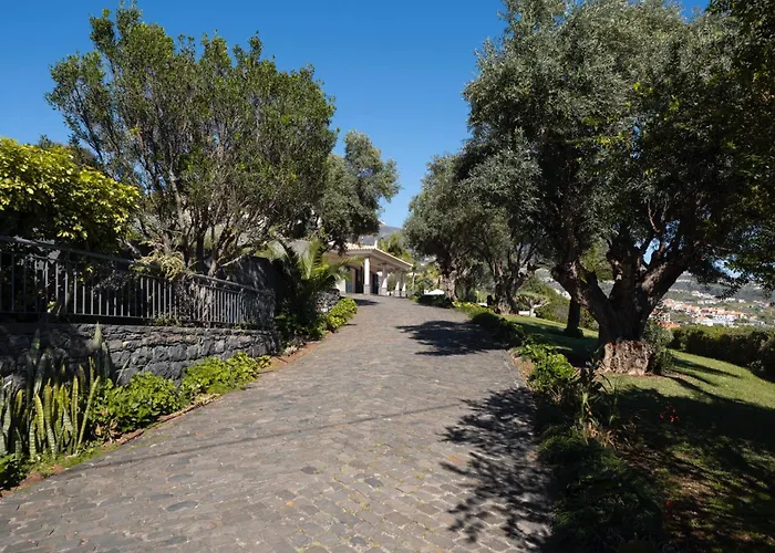 Ourmadeira - Bellissima Vila Estreito Da Calheta